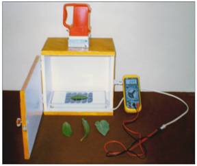 Photovoltaic leaf area meter.