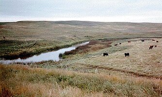 A Sheyenne River study site near Maddock, North Dakota