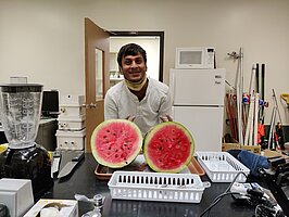 Figure 4. Watermelon sample for quality analysis