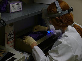 Brianna Schneck working in the lab