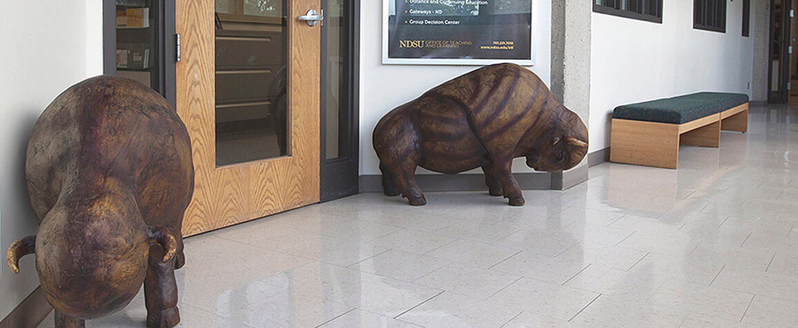 bison statues in front of OTL office doors