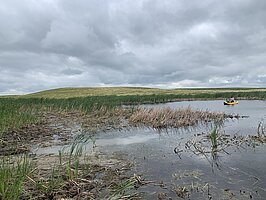 Out in wetland taking sediment cores in Stutsman County, North Dakota