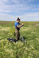 Standing in prairie collecting data on surrounding upland