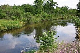 Sampling Site on Fish Hook River Minnesota, Summer 2005