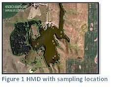Figure 1. HMD with sampling location