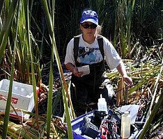 Rochelle Nustad taking samples at one of her field sites. 