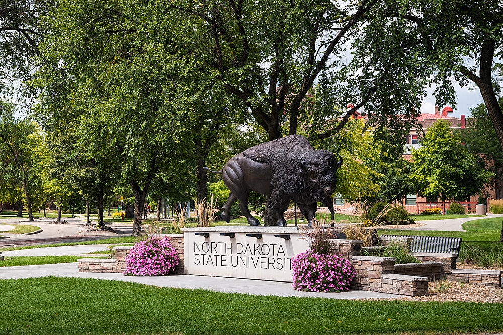 image of Bison statue