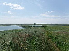 A photograph of one of the wetland sample sites with prairie grasses in the foreground and several ponds in the background.