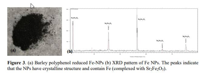 Figure 3. (a) Barley polyphenol reduced Fe-NPs (b) XRD pattern of Fe NPs. The peaks indicate that the NPs have crystalline structure and contain Fe (complexed with Sr2Fe2O5).