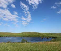 July overview of long-term monitoring survey prairie pothole wetland P8 in the Cottonwood Lake Study Area, North Dakota, USA 